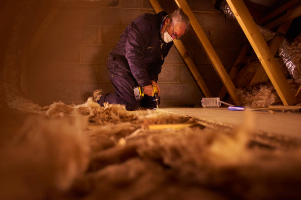 Best Residential Insulation in Stedman, NC
